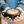 Load image into Gallery viewer, MHW-3BOMBER 280ml Sawada Ceramic Coffee Cup with Saucer Black
